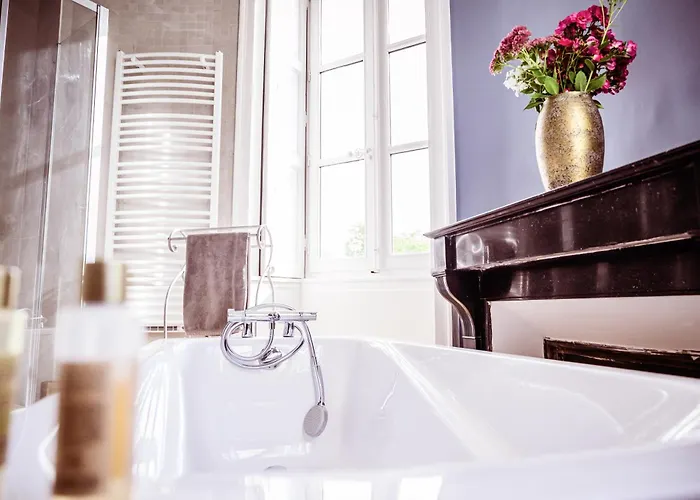 Chateau De La Grange Moreau 3* Vallon-sur-Gee